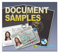 International drivers license translation document samples