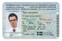 IDL Card - Silver style